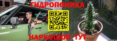 дурь Гусиноозёрск