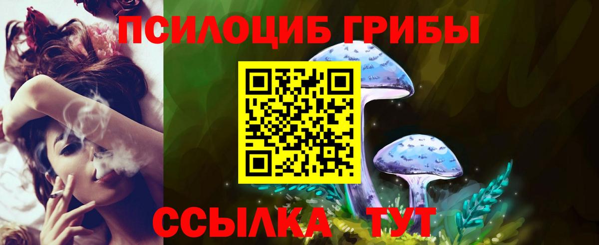 Псилоцибиновые грибы прущие грибы Нововоронеж