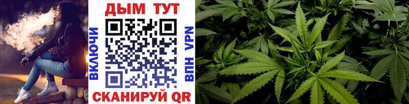 Канабис ГИДРОПОН  Нововоронеж 